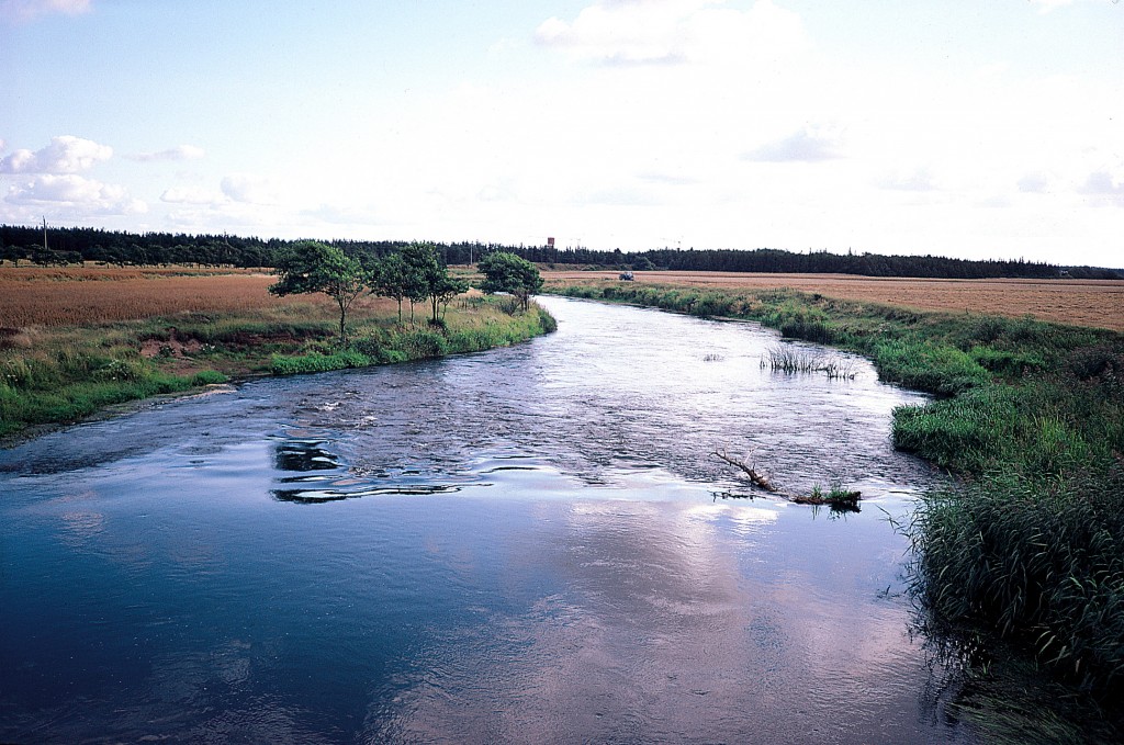 Skjernaa_Skarrild